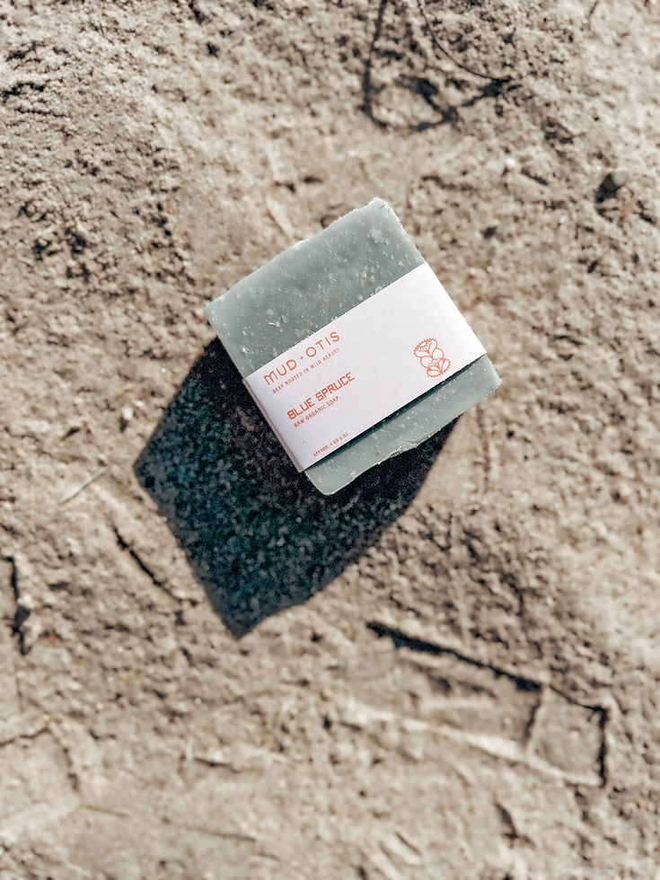 mud + otis blue spruce soap