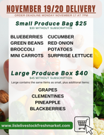 Small Produce Bag