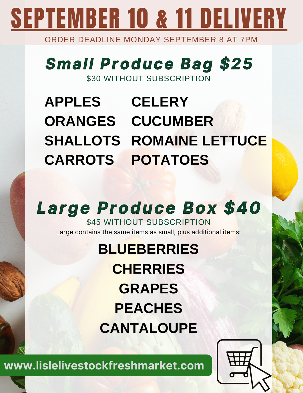 Small Produce Bag