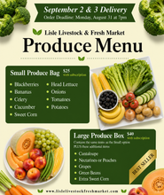 Load image into Gallery viewer, Large Produce Box
