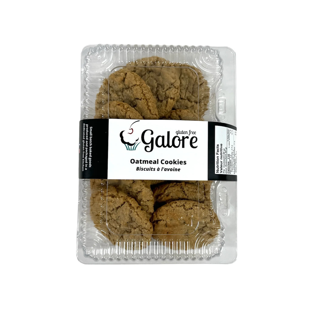Gluten Free Galore - Oatmeal Cookies