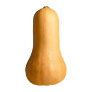 Butternut Squash