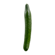 Cucumber