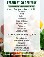 Large Produce Box