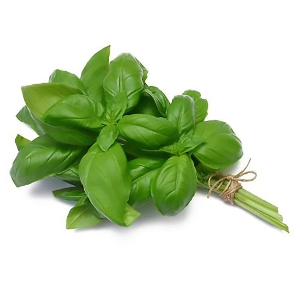 Fresh Herbs